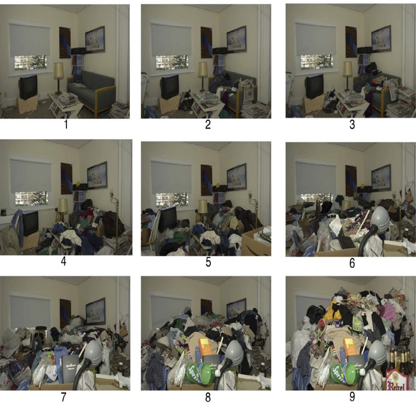 Living Environment Assessment Clutter Rating - Score 1-9 using the clutter scale illustrations as a guide
